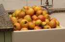 Cider Making - Apples in Sink